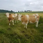 Hébergement de vacances Behnke *